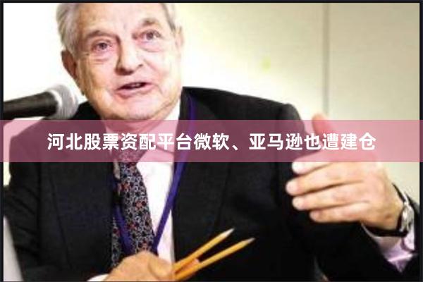 河北股票资配平台微软、亚马逊也遭建仓