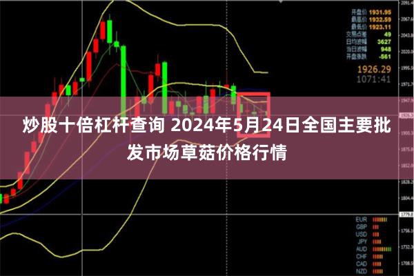 炒股十倍杠杆查询 2024年5月24日全国主要批发市场草菇价格行情