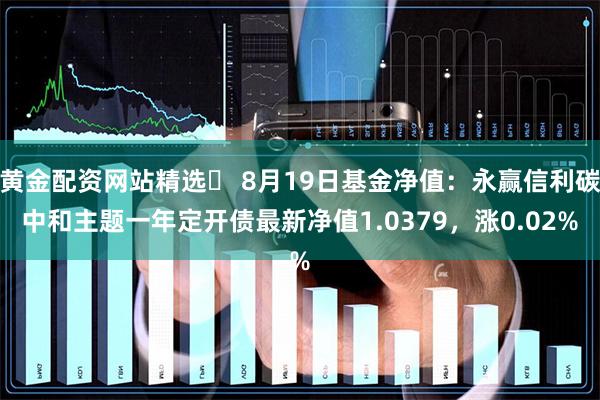 黄金配资网站精选	 8月19日基金净值：永赢信利碳中和主题一年定开债最新净值1.0379，涨0.02%