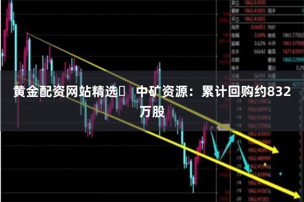 黄金配资网站精选	 中矿资源：累计回购约832万股