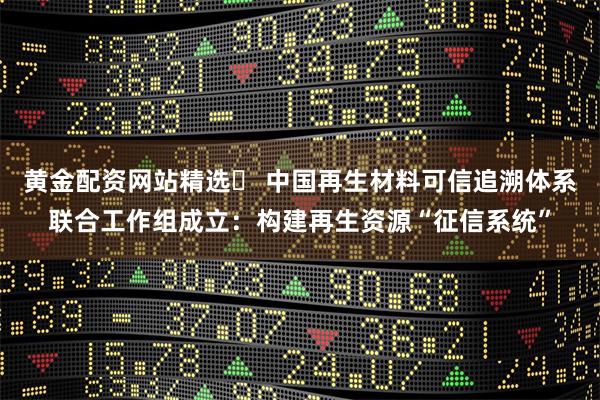 黄金配资网站精选	 中国再生材料可信追溯体系联合工作组成立：构建再生资源“征信系统”