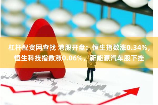 杠杆配资网查找 港股开盘：恒生指数涨0.34%，恒生科技指数涨0.06%，新能源汽车股下挫