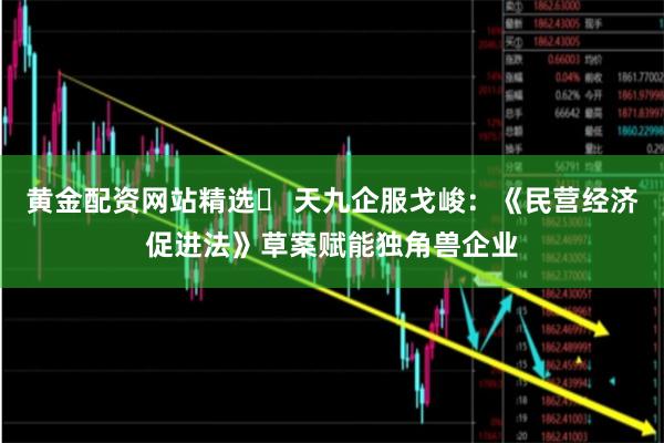 黄金配资网站精选	 天九企服戈峻：《民营经济促进法》草案赋能独角兽企业