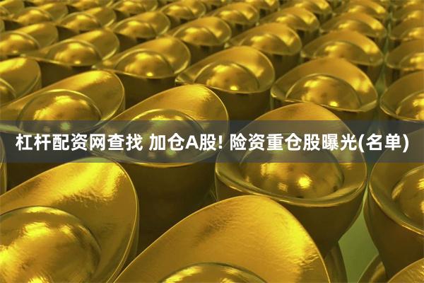 杠杆配资网查找 加仓A股! 险资重仓股曝光(名单)