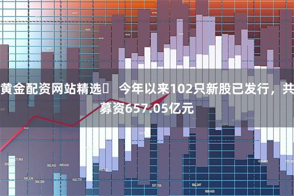 黄金配资网站精选	 今年以来102只新股已发行，共募资657.05亿元
